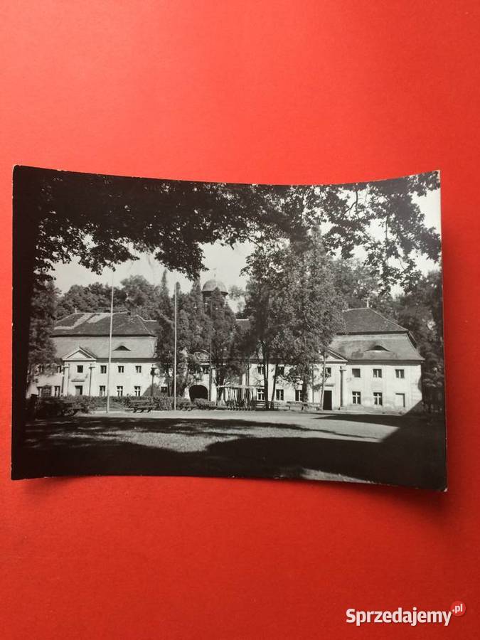 2388 Widokówka Brzeg Dolny Antyki, Sztuka, Kolekcje