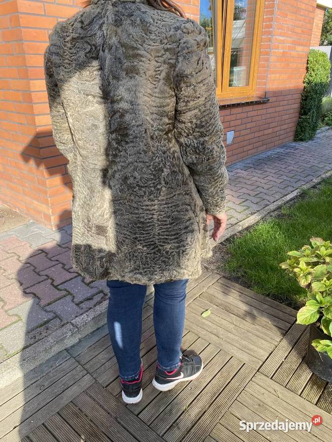 Kortka damska Czerniki