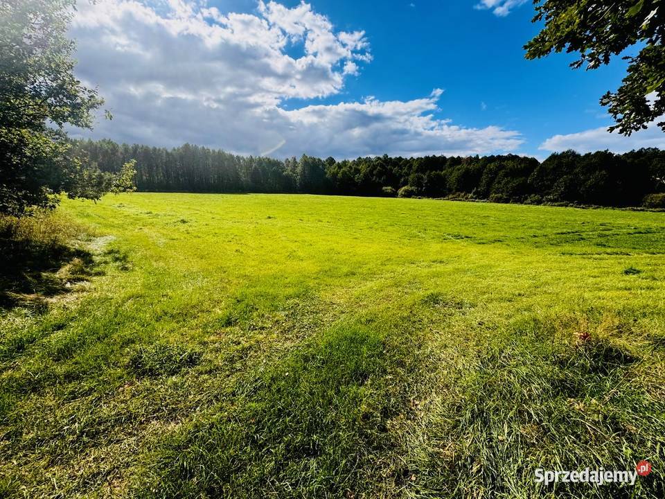 Wyjątkowa działka 242 ha wśród zieleni Cisza Drygały sprzedam