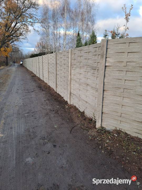 Ogrodzenia betonowe Producent Świdnica