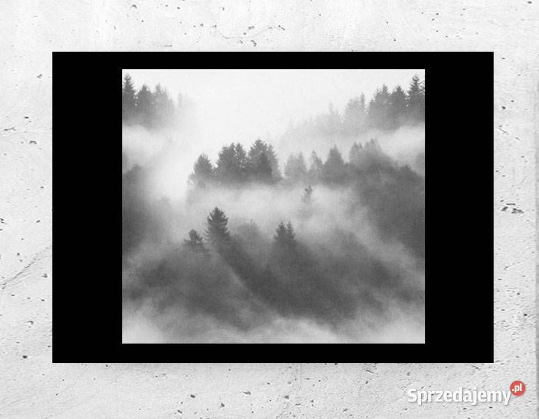 skandynawski plakat A4 czarno biały plakat do warmińsko-mazurskie sprzedam