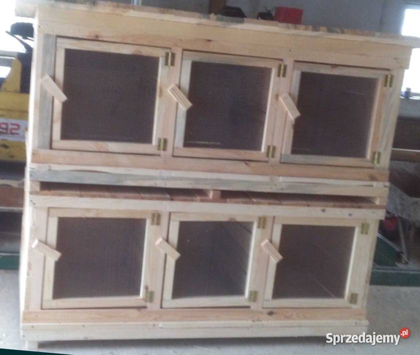 Króliki królik samiec samica klatka transporter Leśna Podlaska sprzedam