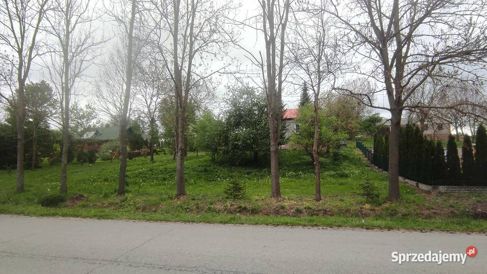 Dom budynki gospodarcze pole uprawne mieszkalny Wierzba