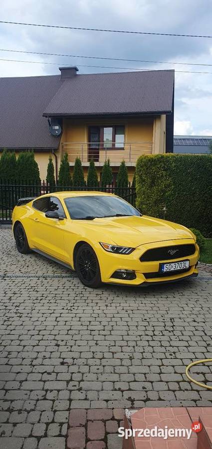 Ford Mustang 37 benzyna piękny 2015 Cisiec
