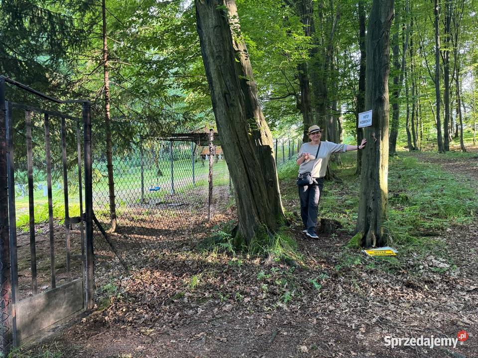 działka budowlana obok jeziora Żywiec 3568m2 śląskie sprzedam