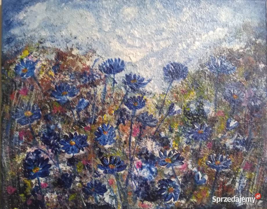 Chabry Obraz akrylowy na płótnie 25x30 Dębica