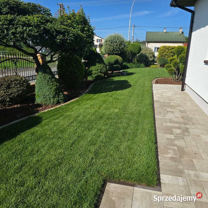 Automatyczne Nawadnianie Lublin