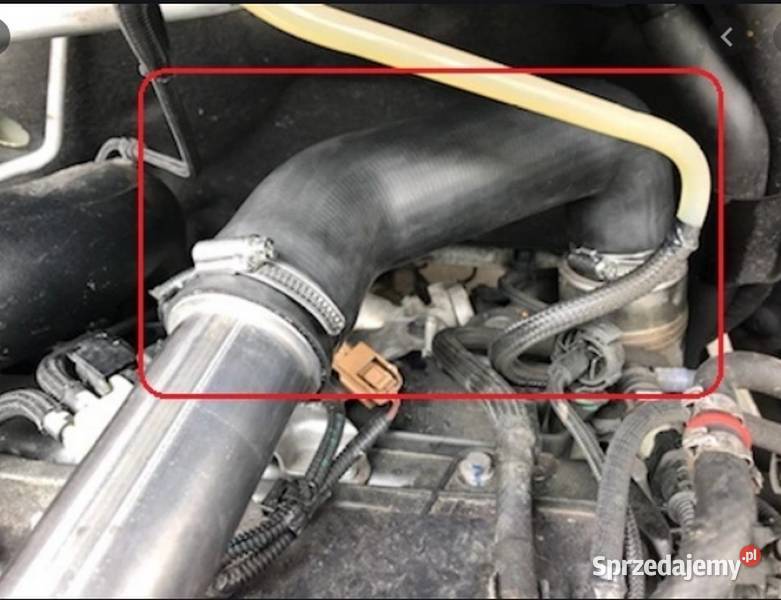 Przewód turbinyintercooler Opel MovanoRenaul Bydgoszcz