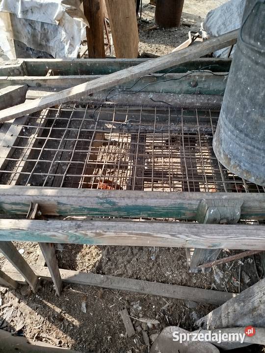 Sortownik do ziemniaków Słocina