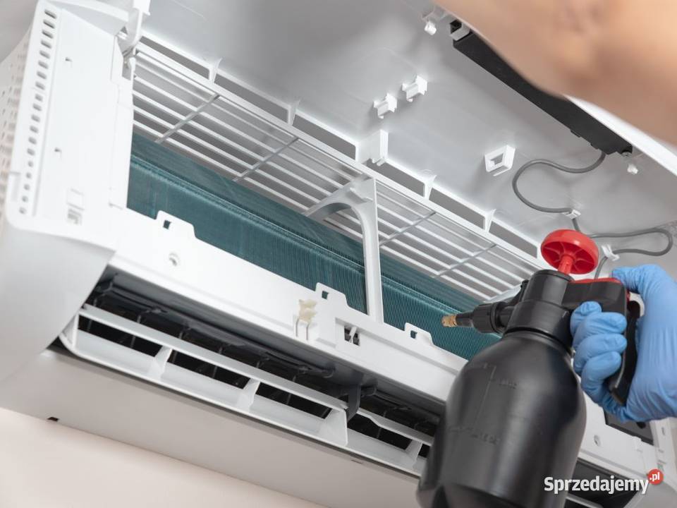 SERWIS CZYSZCZENIE ODGRZYBIANIE NAPRAWA śląskie Częstochowa