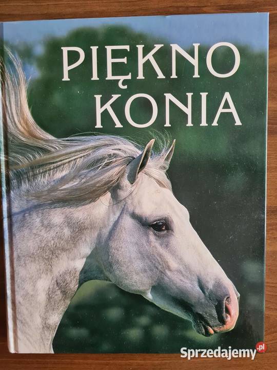 Piękno konia