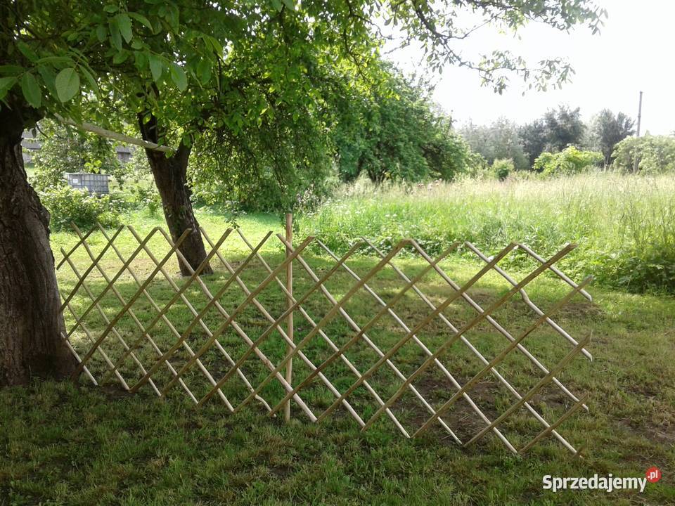 Płotek leszczynowy podkarpackie Przemyśl sprzedam