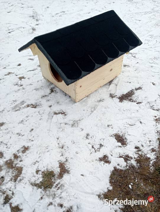 Buda psa legowisko Pionki