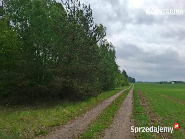 sprzedaży gruntu 8165m2 Sobącz