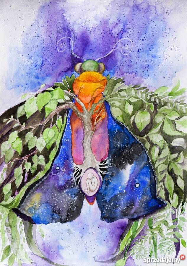 TAJEMNICE ĆMY akwarela artystki plastyka Adriany