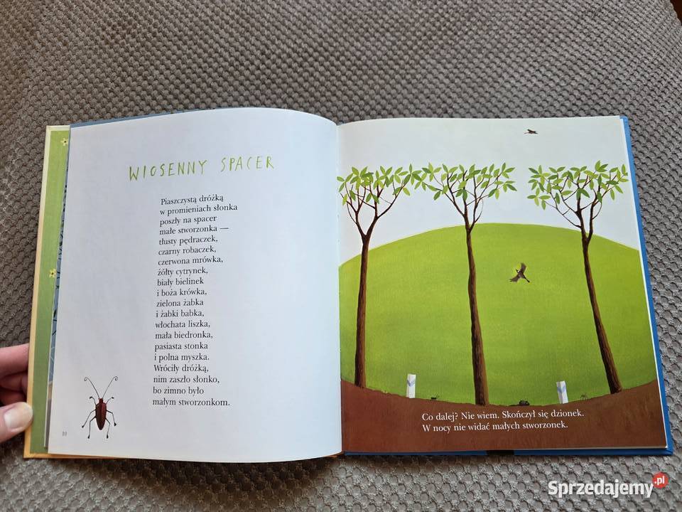 Zielony Żółty Rudy Brązowy Małgorzata Kraków