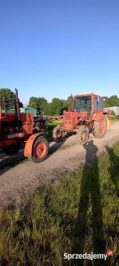 Mtz belarus 82 4x4 550 4x2 Skrzynia biegów Manualna Osówka sprzedam
