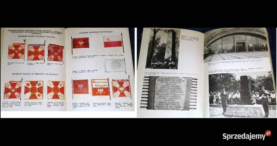 Z dziejów oręża polskiego i walki o postęp Chełm