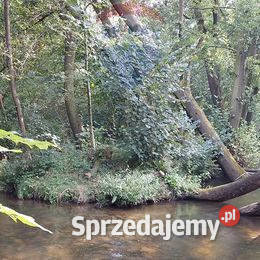 Działka inwestycyjna ze starym młynem Kęty
