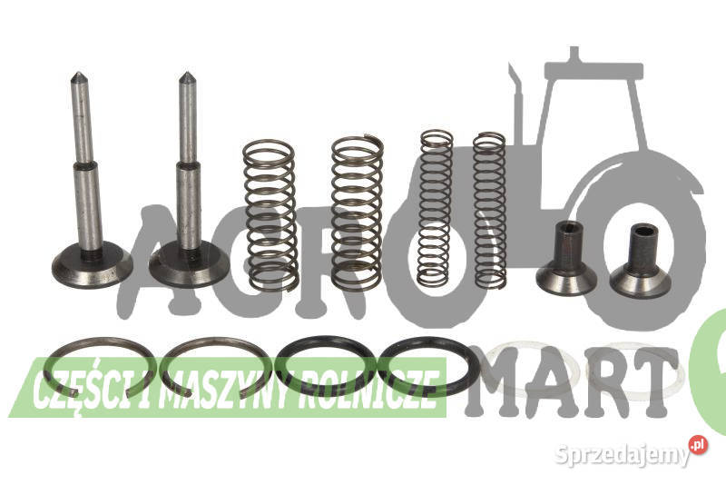 1810678M94 1810678M91 ZESTAW NAPRAWCZY POMPY Pozostałe Wichrów