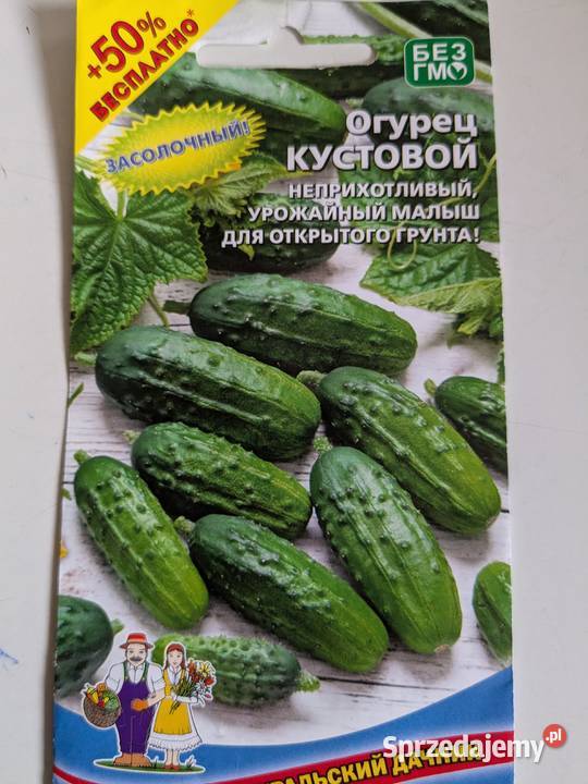 Podniczok PalczikRoznasol Zasolacznyj rosyjskie Kraków