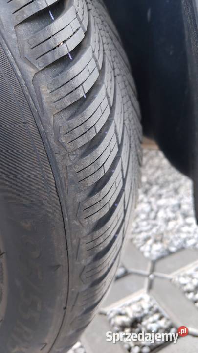 VW Polo V 2011r 4 Cylindry DSG 7 Biegów HighLine zachodniopomorskie Łobez sprzedam