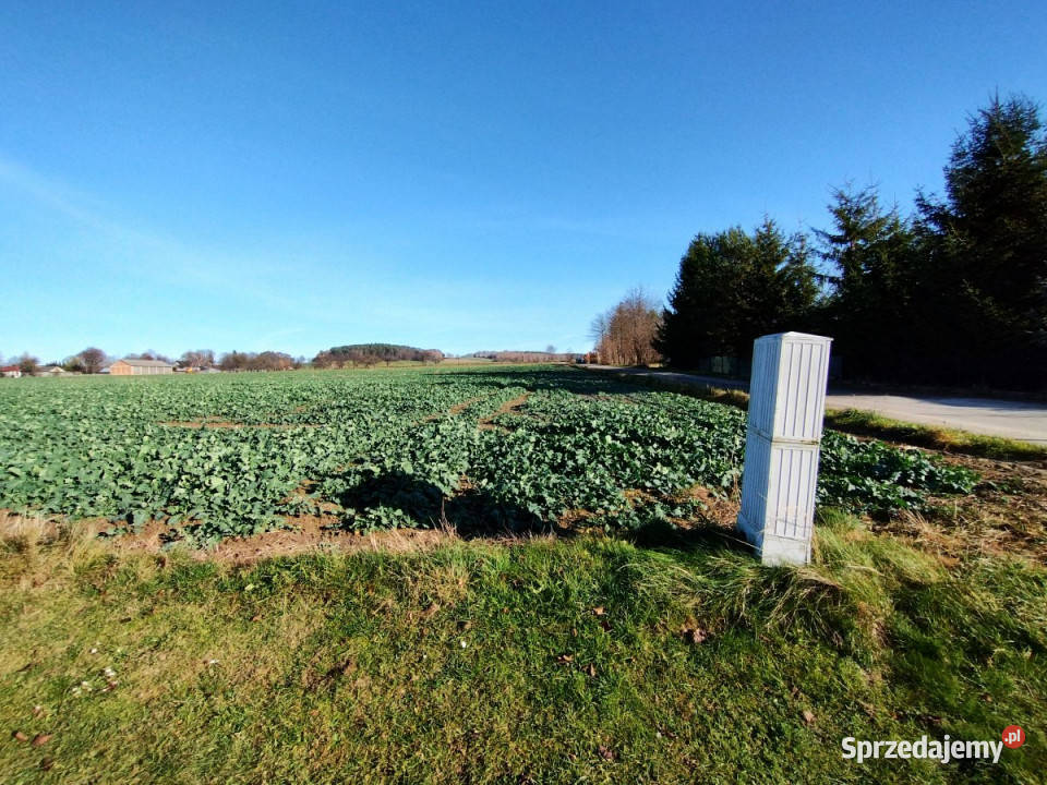 Działka 2000m2 Osowa sprzedam