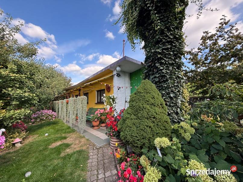 Dom z ogrodem 1 469 m w centrum Ostrowi Ostrów Mazowiecka