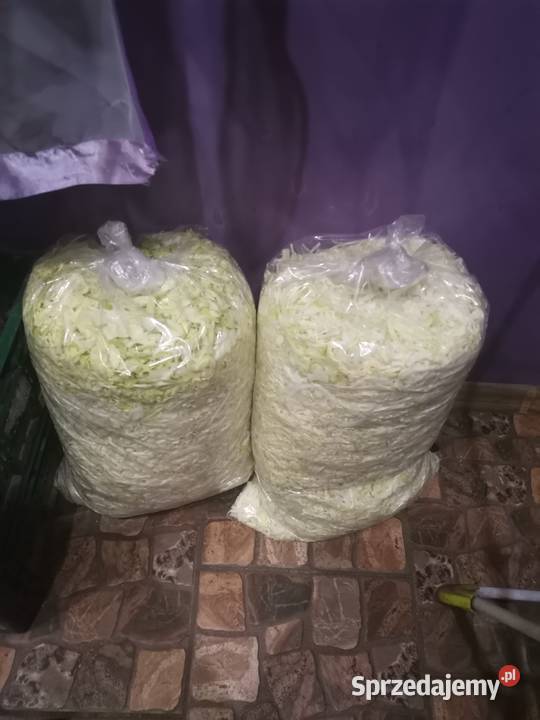 SPRZEDAM KAPUSTA SZATKOWANA SZATKA KAPUSTA Proszowice