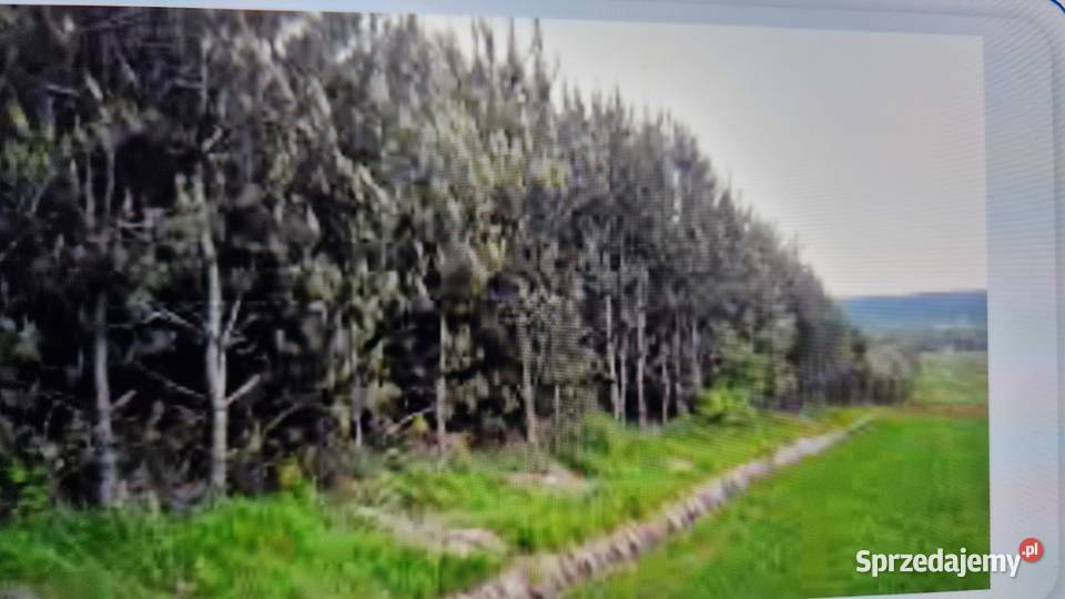 Działka rolna zalesiona podkarpackie Rakszawa