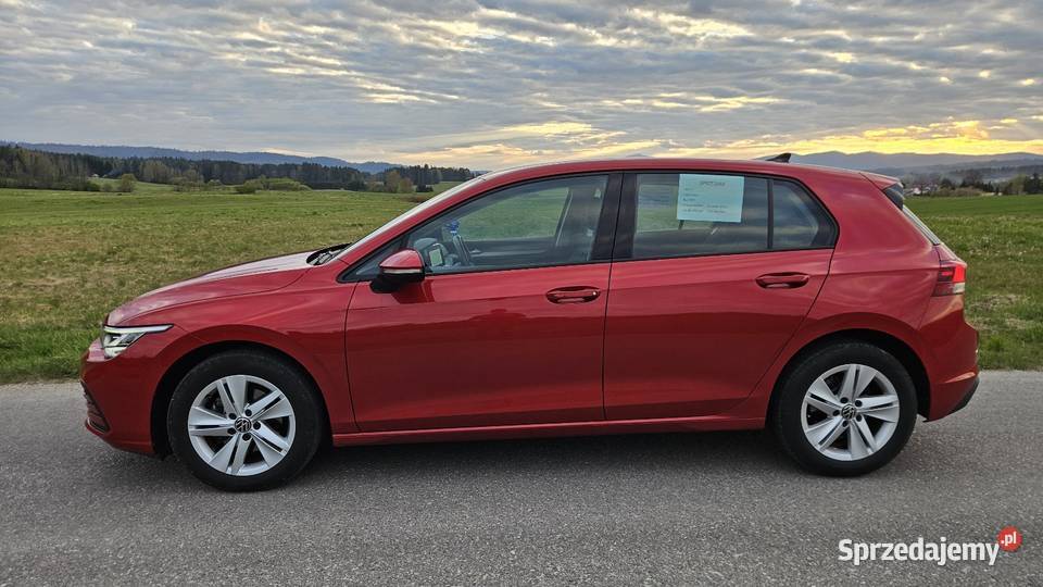 Volkswagen Golf 8 małopolskie Rabka-Zdrój sprzedam