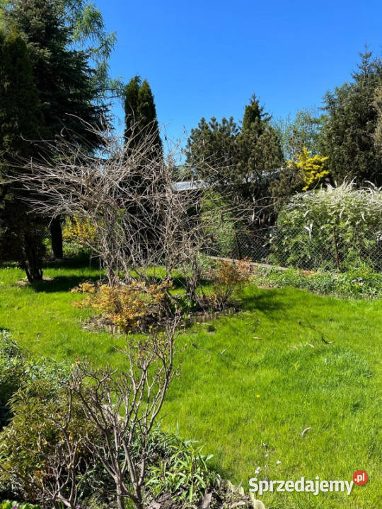 Działka rekreacyjna ROD Ząbki