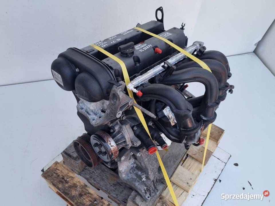 SILNIK Ford Focus II MK2 16 16V 100 udokument Janów
