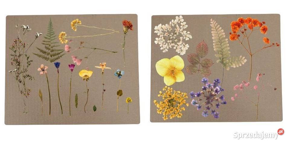 Prasa do suszenia kwiatów ziół zielnik Praska małopolskie Tworkowa