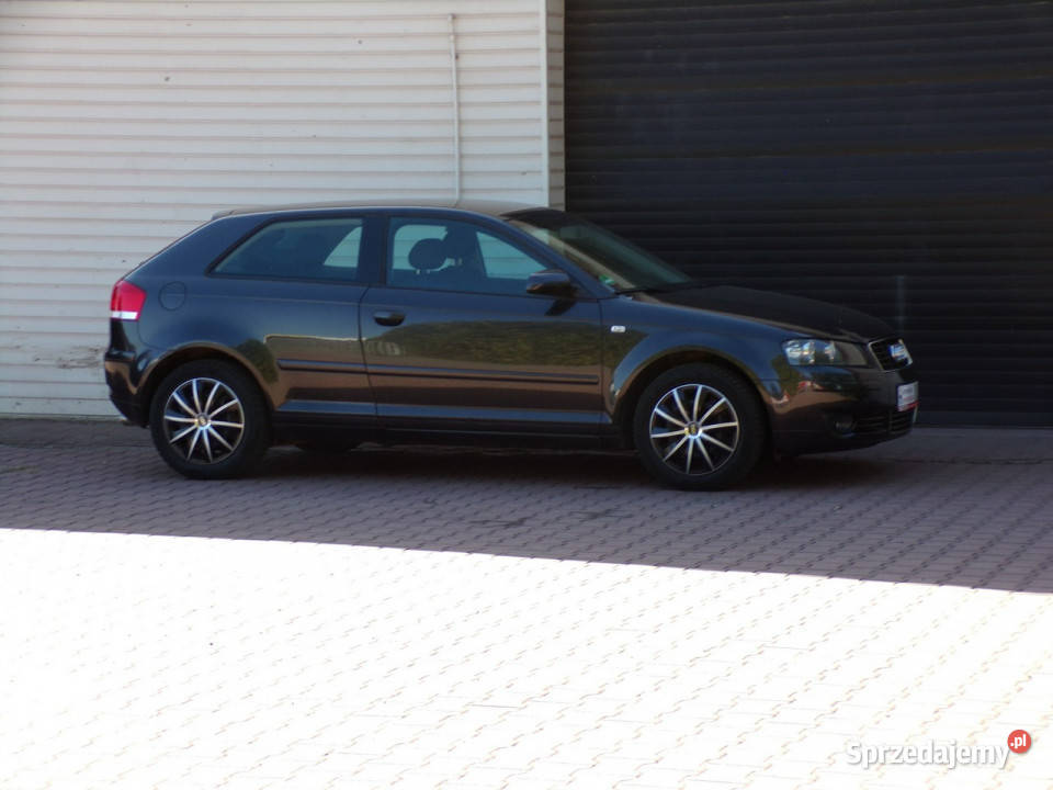 Audi A3 3drzwiowe Klimatronic BOSE 16 mpi 102 8P wspomaganie kierownicy Mikołów