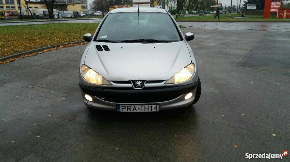 Peugeot 206 Sprzedam lakier metallic wielkopolskie