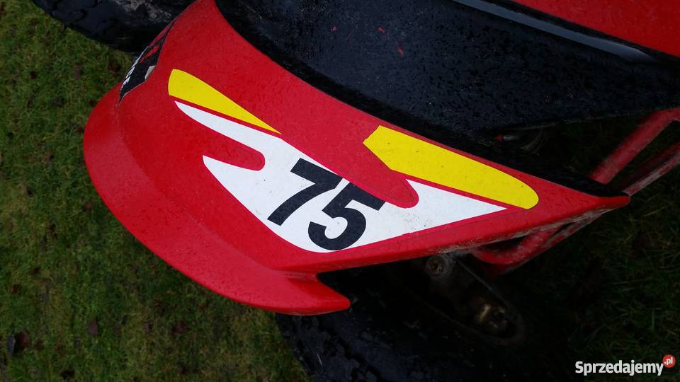 Quad Shineray 250 Okazja Bashan Pierwszy quad - ATV Chojno