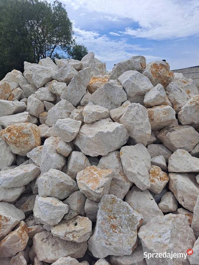 Kamień ogrodowy biały głaz białe głazy 50500 mm Kraków