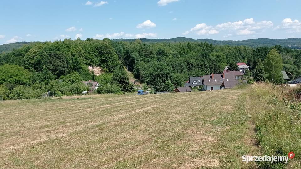 DZIAŁKI W JASIENICY ROSIELNEJ 40m podkarpackie Jasienica Rosielna