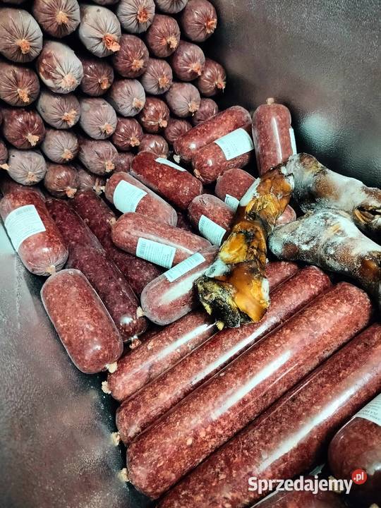 Mięso psów i kotów Częstochowa