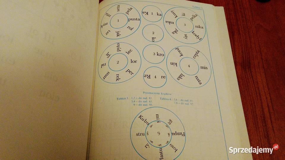 Czytam piszę i rysuję nowe ćwiczenia klasy 1 Książki i Podręczniki