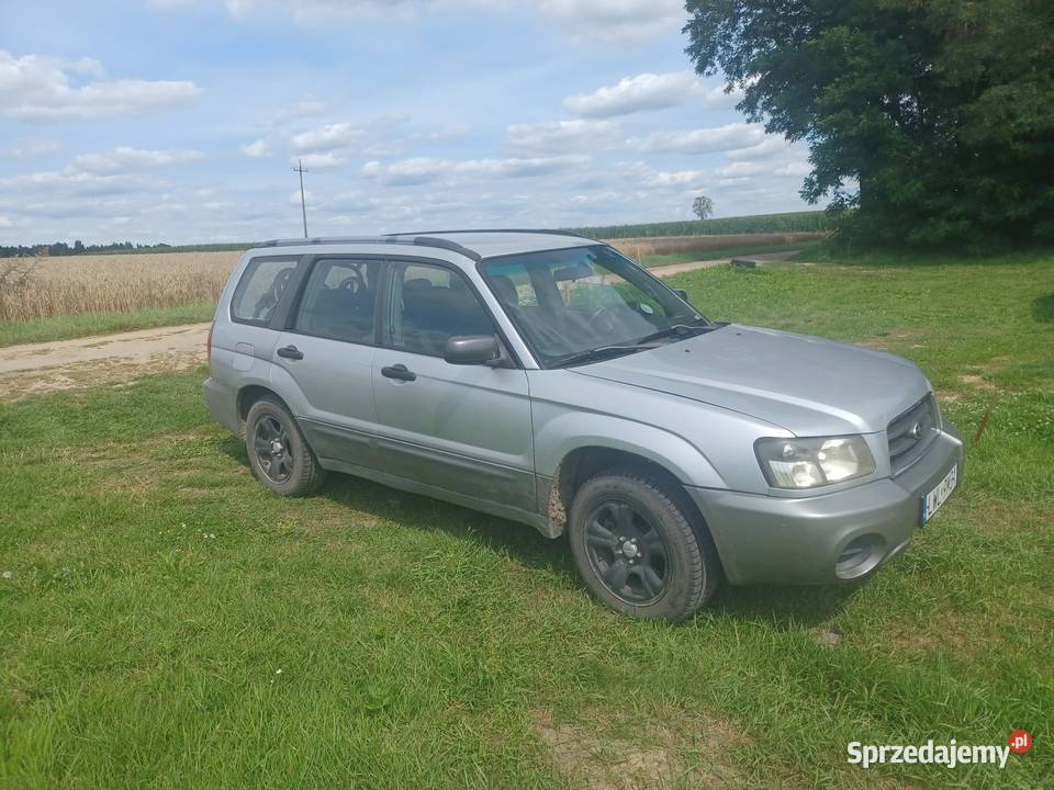 Sprzedam niezawodnego Forestera Forester lubelskie Włodawa
