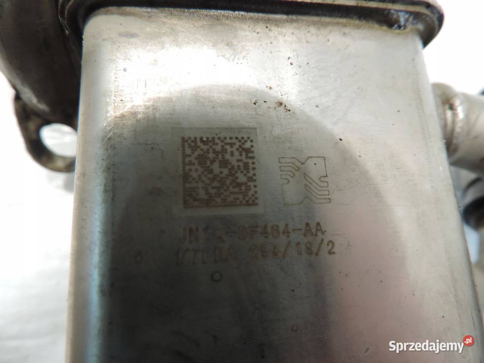 CHŁODNICA SPALIN EGR FOCUS MK4 15 JN1Q9F464AA