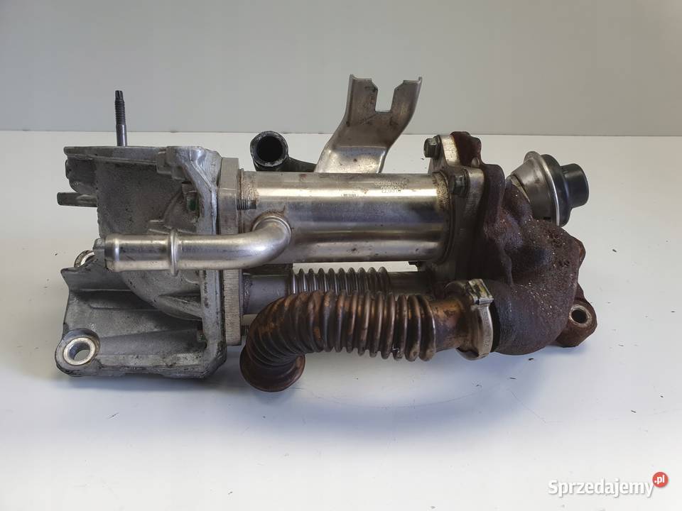 Renault Megane III 15 DCI CHŁODNICA SPALIN egr Rudka