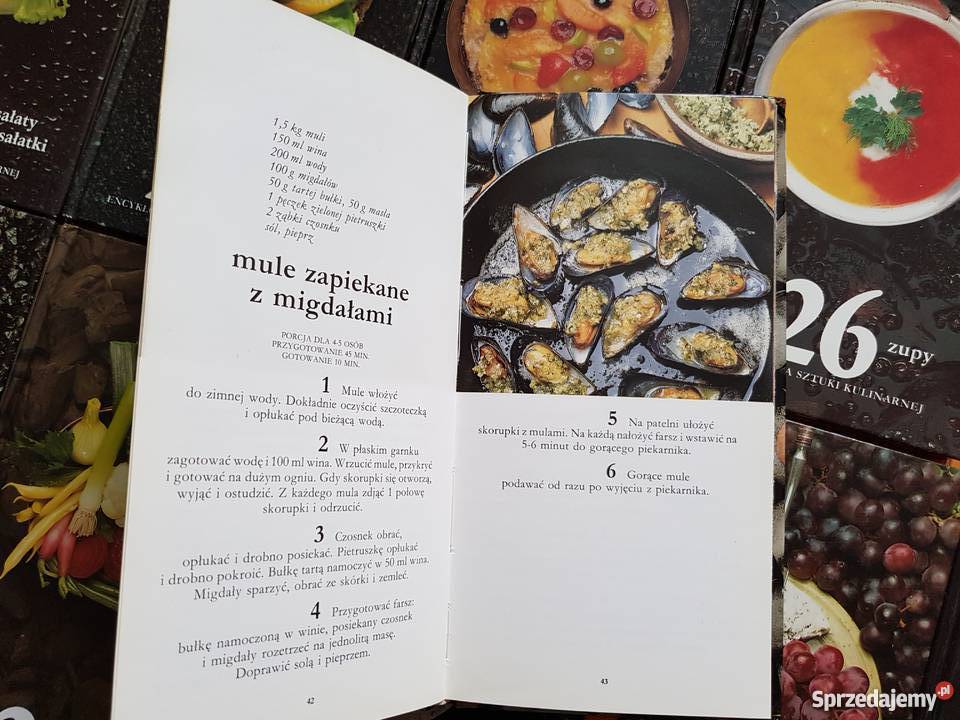 Encyklopedia sztuki kulinarnej kuchnia, potrawy śląskie Mysłowice