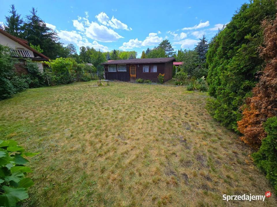 Działka ROD 300 m2 z domkiem Przypki k Tarczyna 217zł/m2