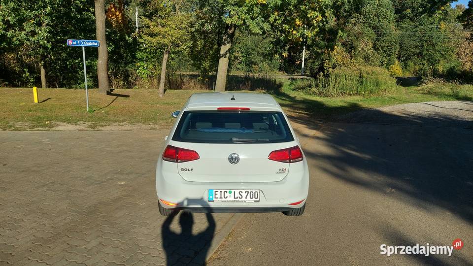 100 Bezwypadkowy Oryginalny lakier Nowy Puławy