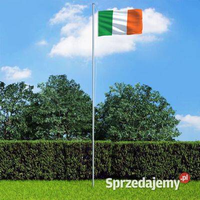 vidaXL Flaga Irlandii 90x150 sku146049