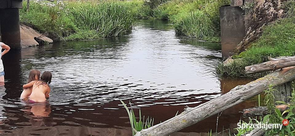 Siedlisko na spokojnej wsi duża działka z domem