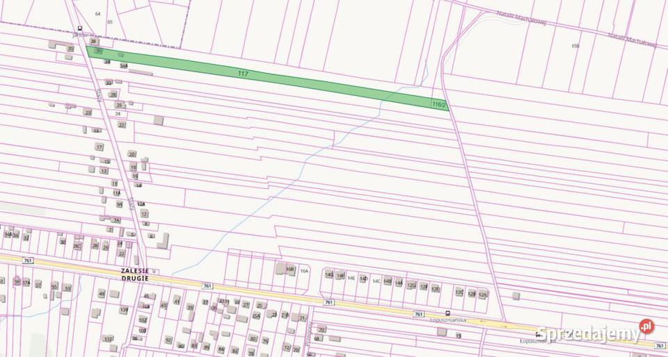 Dom mieszkalny 200m2 działka 9400m2 miasto świętokrzyskie Kielce sprzedam